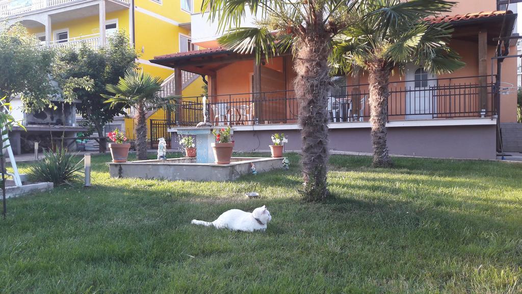 Apartments Tea Rovinj Zewnętrze zdjęcie