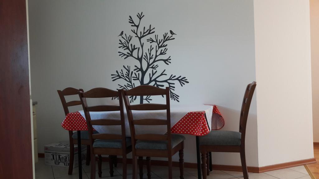 Apartments Tea Rovinj Zewnętrze zdjęcie
