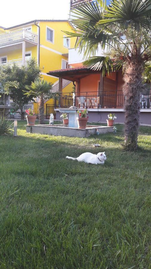 Apartments Tea Rovinj Zewnętrze zdjęcie